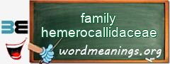 WordMeaning blackboard for family hemerocallidaceae